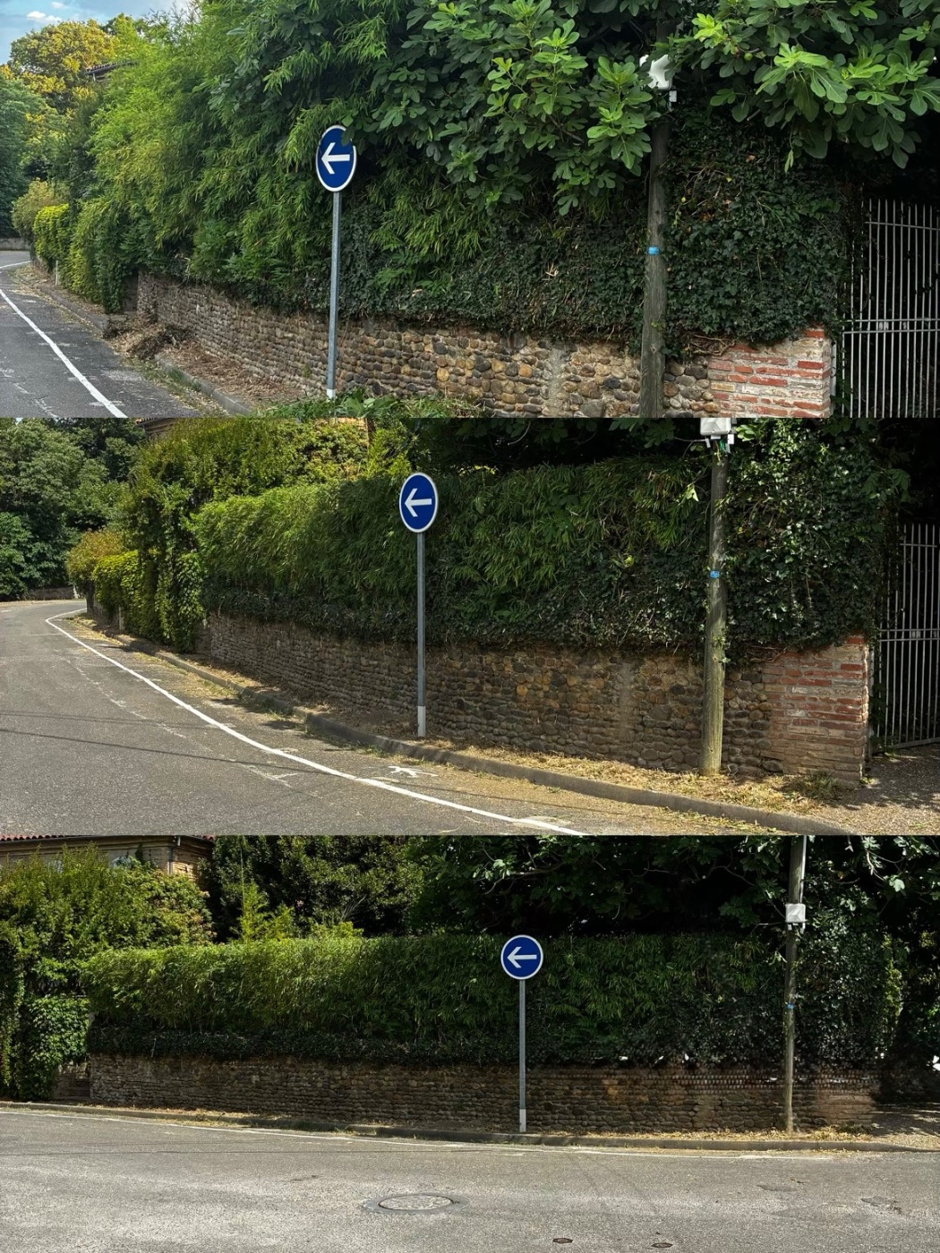 Réalisation Élagage Occitanie