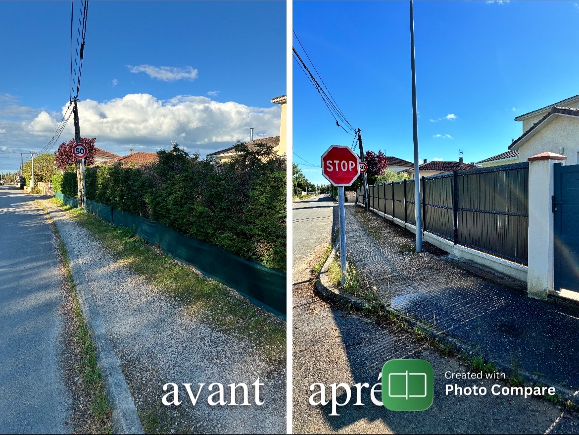 Réalisation Élagage Occitanie
