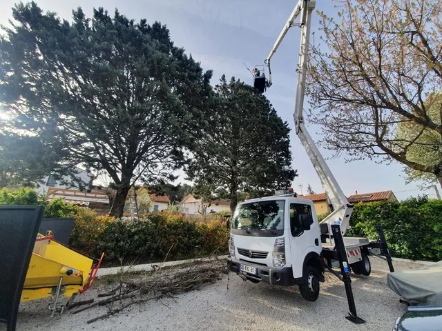 Réalisation Élagage Occitanie